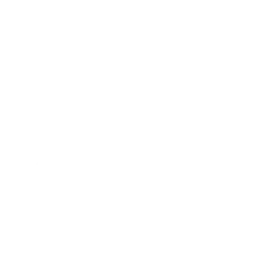 C++