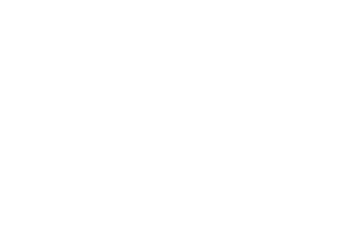 Manul Systems